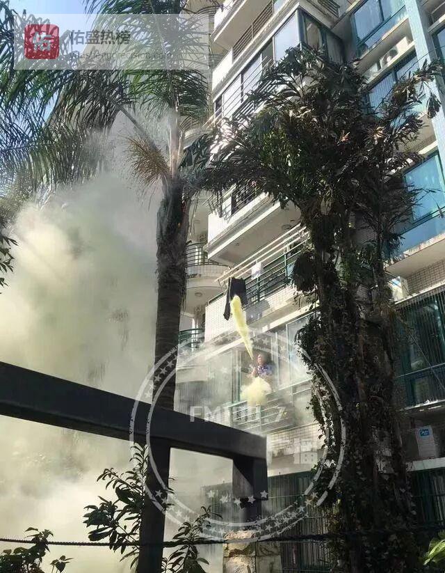 一颗烟头烧掉整棵棕榈：福州仓山火灾敲响高空抛烟警钟