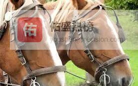 摘掉“马眼罩”：在恐惧与自由之间学会生活