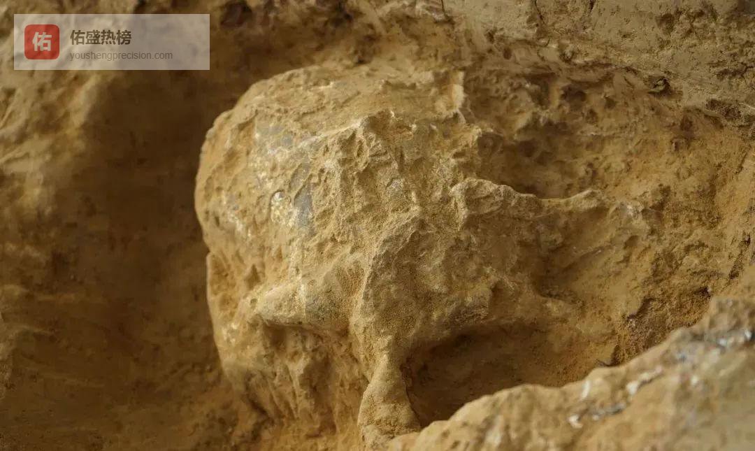 湖北学堂梁子再出土直立人头骨，百万年人类史再被改写