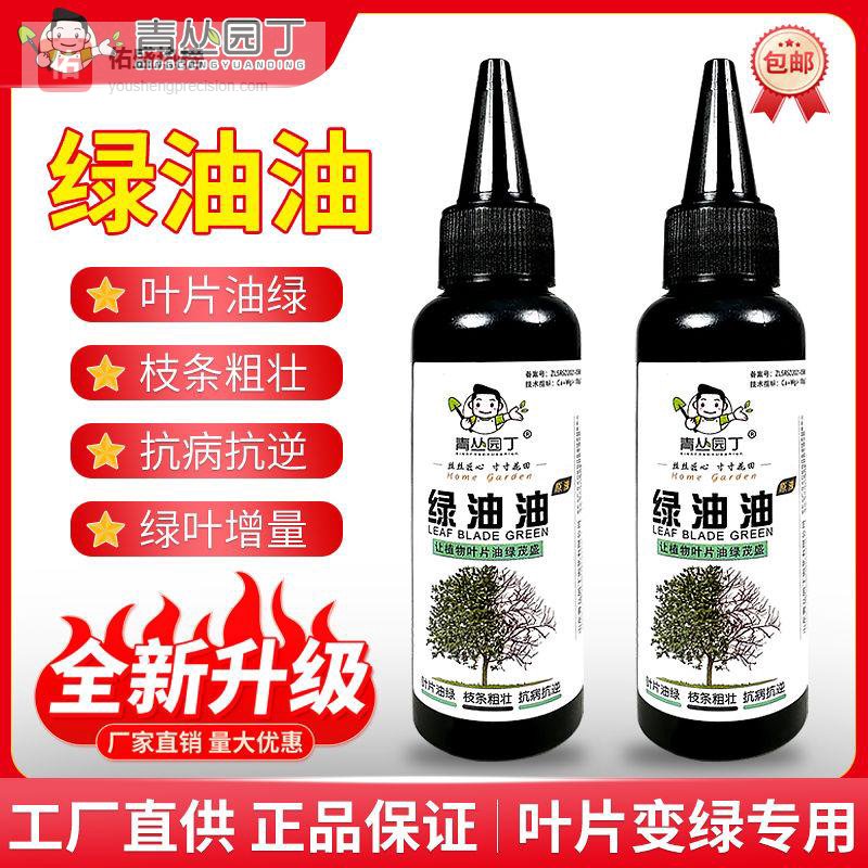 新手绿植养护常遇黄叶烂根难题？这三款内行公认的养护好物别错过，用后绿植30天内叶片翠绿、根系健壮，重焕生机！