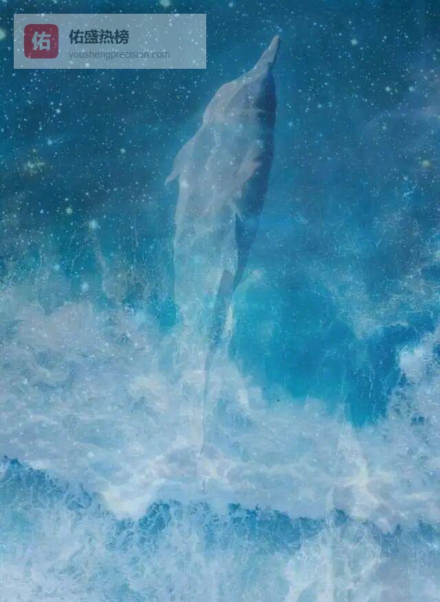 太阳×月亮：你性格里的双重奏