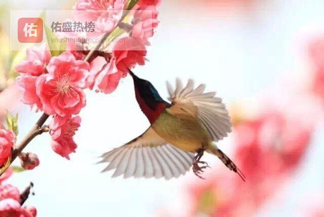 从仓颉到甲骨：汉字诞生的神话与真相