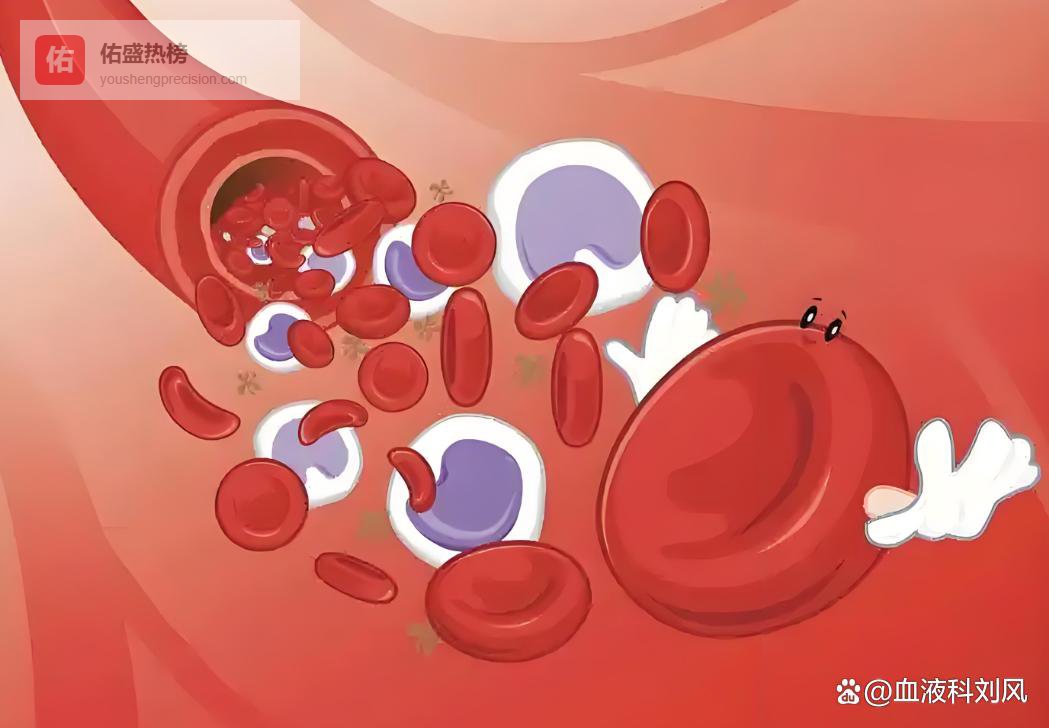 身体出现莫名其妙淤青或手脚麻木警惕血小板数值异常