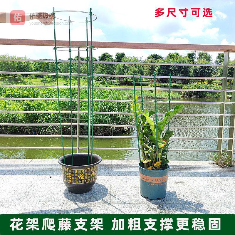 阳台杂乱无章无从下手？内行分享阳台花园改造避坑指南，一套植物收纳方案让阳台30天内从凌乱变治愈！