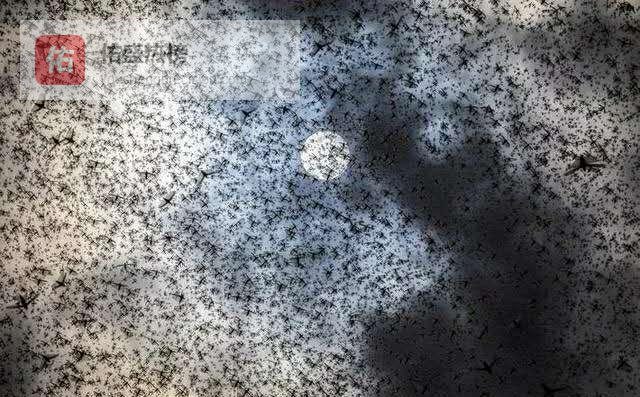 鸭子去了沙漠，然后呢？这杯水的账，谁来结？