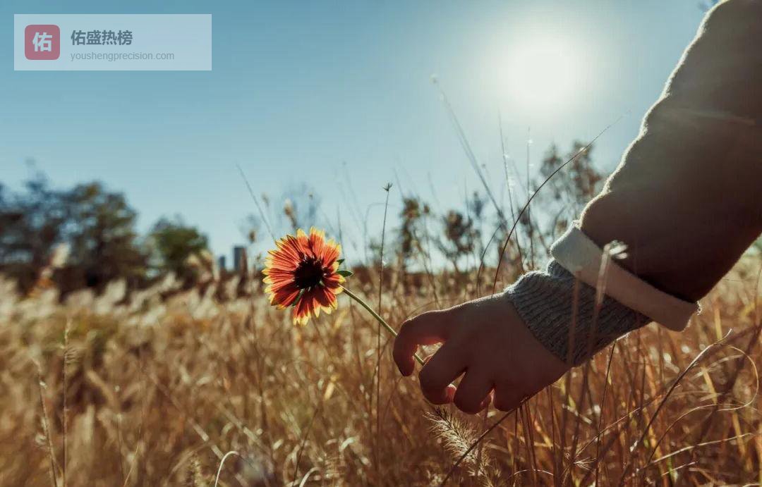 入秋三式排毒：从鱼腥草到膀胱经，轻松告别湿热困局