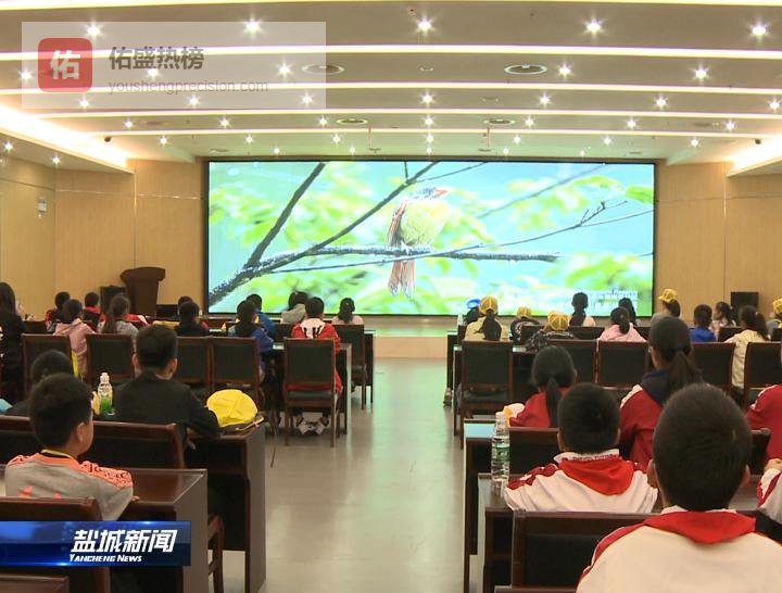 盐城湿地研学记：让丹顶鹤的翅膀拍醒孩子的环保意识