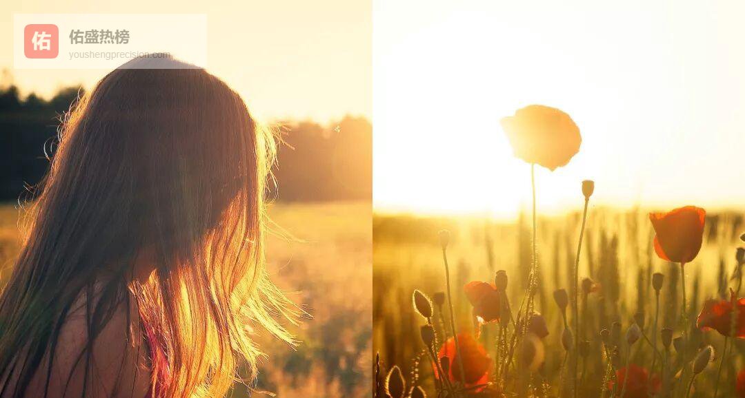 餐厅主管全景图：从标准制定到现场救火