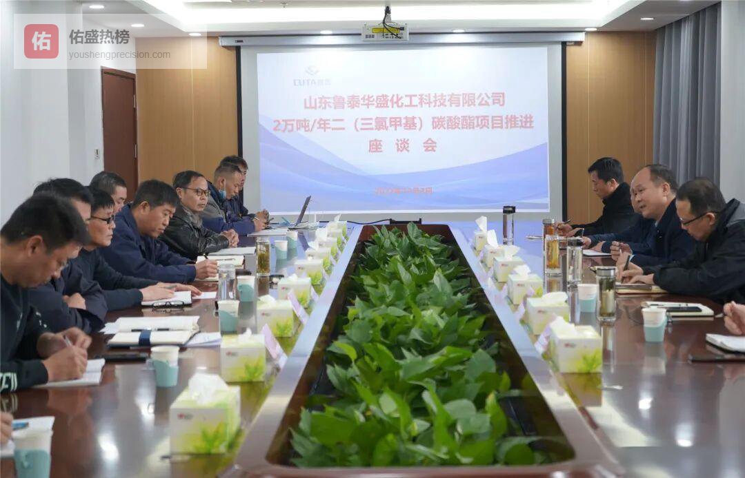 鲁泰华盛2万吨项目“挂图作战”：设计优化与手续双轮驱动