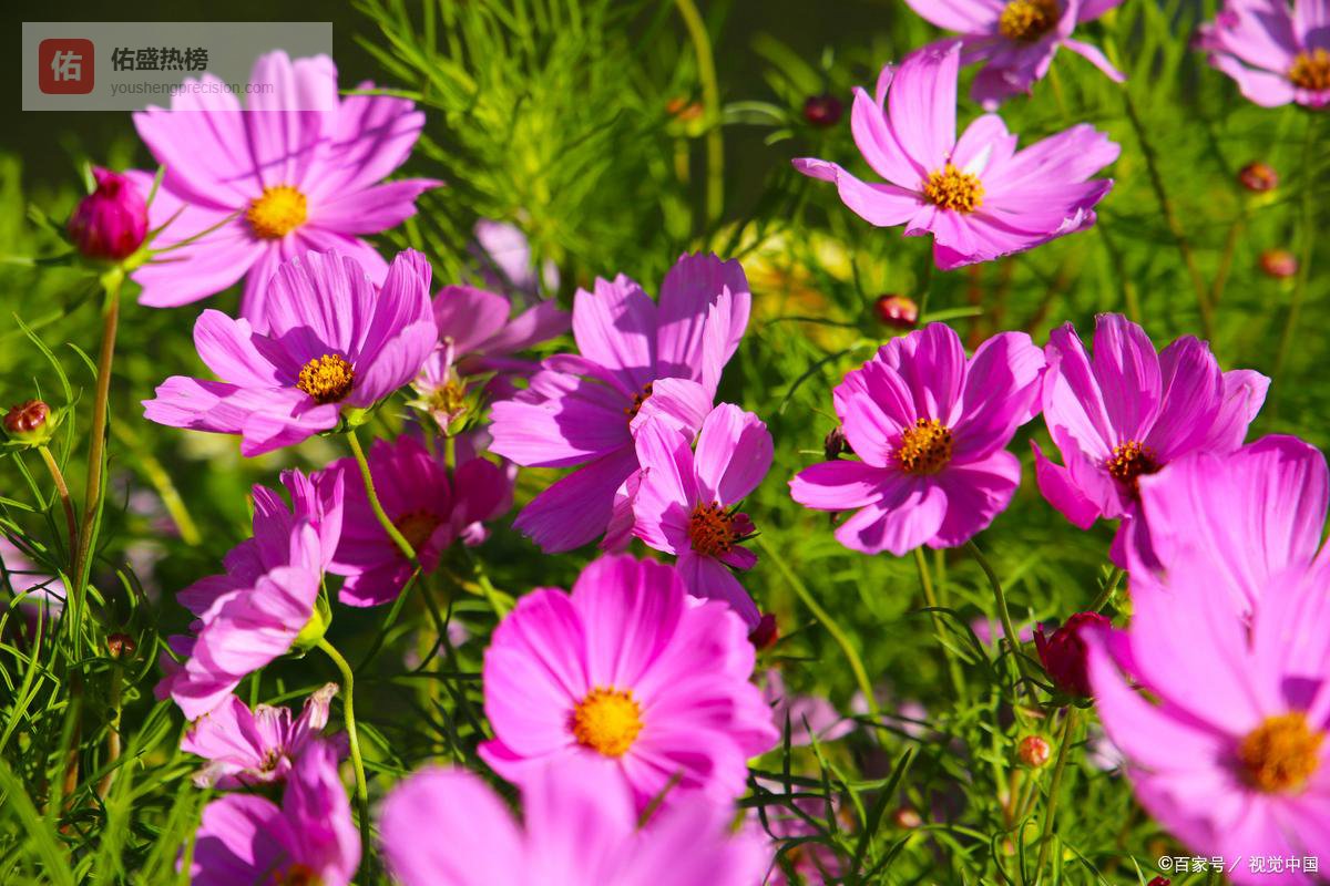 暧昧断联后，男人能忍住不找你的3个扎心真相：第二个是“价值锚定”失效，比出轨更残忍！