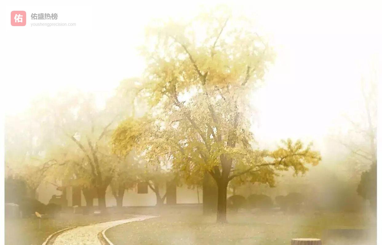 善恶之根：你选择种下哪一种