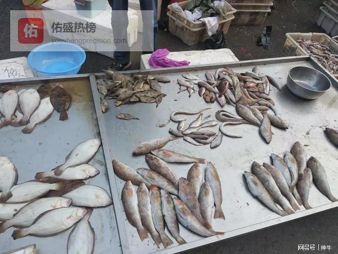 惊蛰前，这3种海鱼正大量上市，纯野生无养殖，价格便宜别错过
