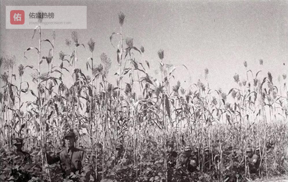 伏击日军后，团副参谋长受到批评，不料数日后收到四份贺电