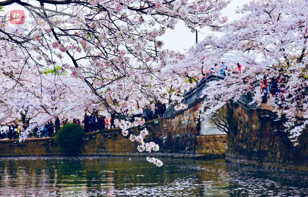 谪仙入尘：陆栋的诗酒江湖