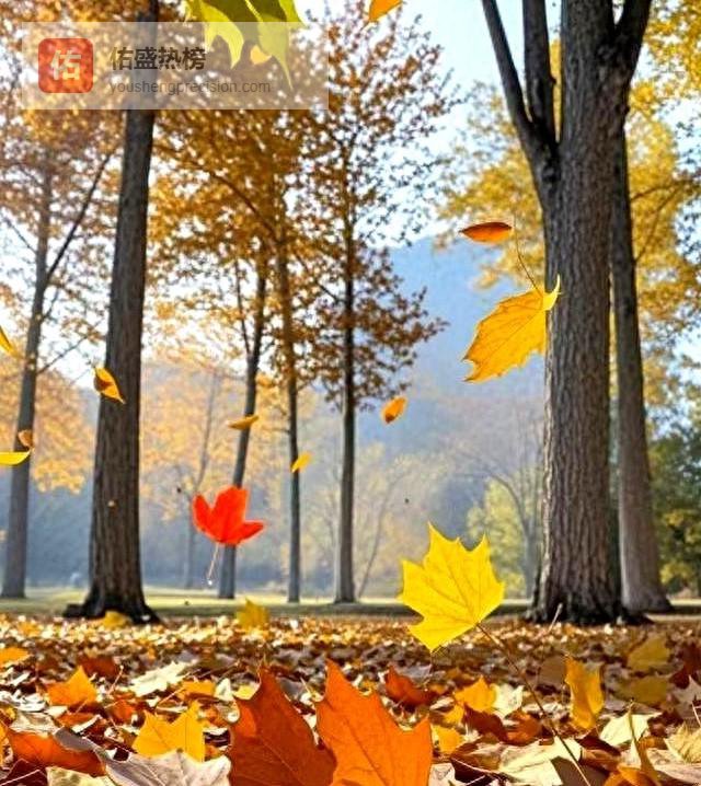 白发人送黑发人后，为什么一家子接连倒下？