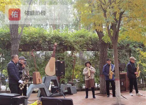 旧房空地变身“口袋森林”：市城区绿色休闲网络全面成势