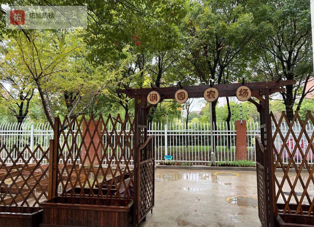 一米菜园里的成长魔法