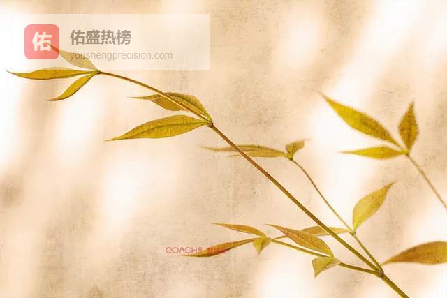 在“做自己”的路上，找到属于你的“足够”