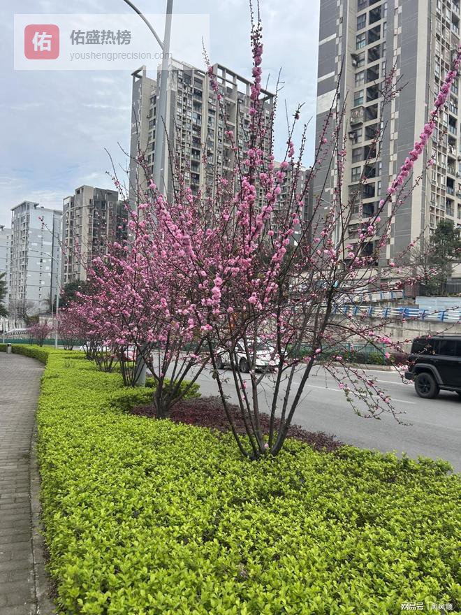 三大利好 算电协同3月9日算力股集体涨停（核心股速览）