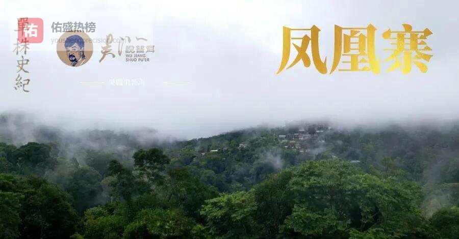 普洱茶“越陈越香”真相：是神话还是谎言？