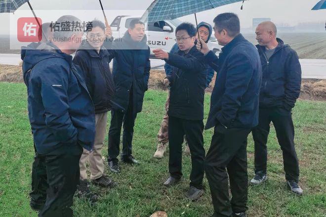 全省小麦春季生产“农技壮苗”行动指导专家组到店子镇指导小麦春季田间管理