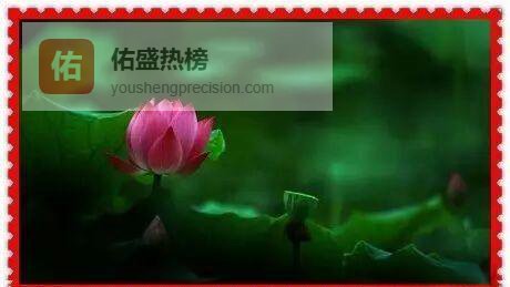 从诗经到今朝：让名字成为孩子的第一首诗