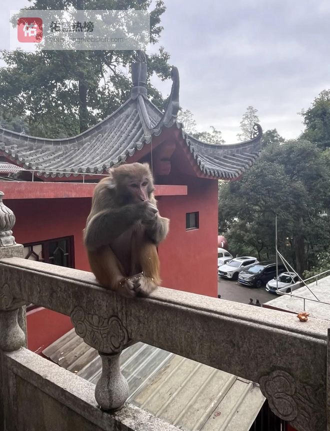 贵州攻略自由行纯玩，五日游贵州自由行旅游攻略分享