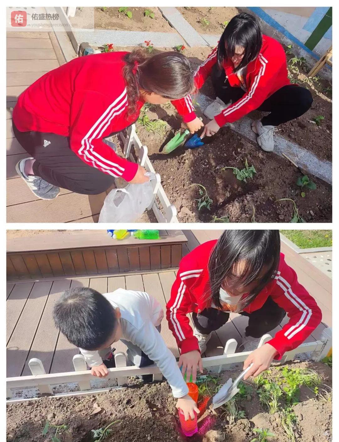 萌宝菜园：一场“小种植”撬动的大成长