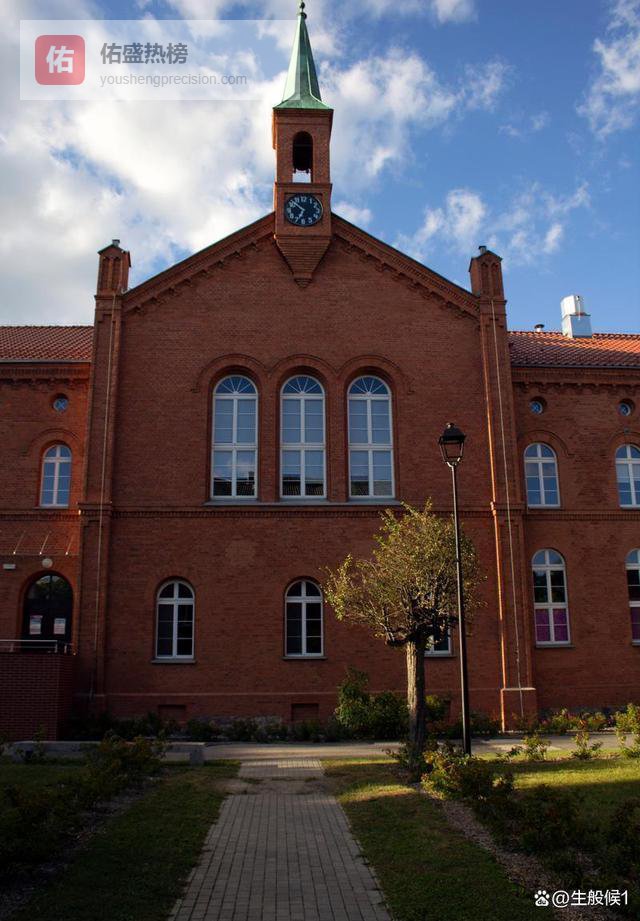 杨舒平遭美国遣返，如今归国结局令人称快，究竟是何状况