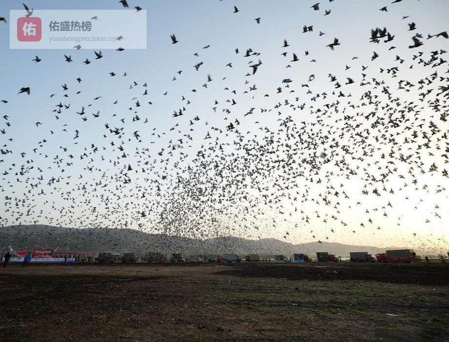 2025秋赛：奖杯堆成山，他们凭什么“神级输出”？
