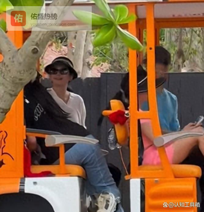 章子怡三亚春节全家福曝光！10岁醒醒粉裙吸睛，6岁儿子紧牵妈妈，侄子帅气亮相！