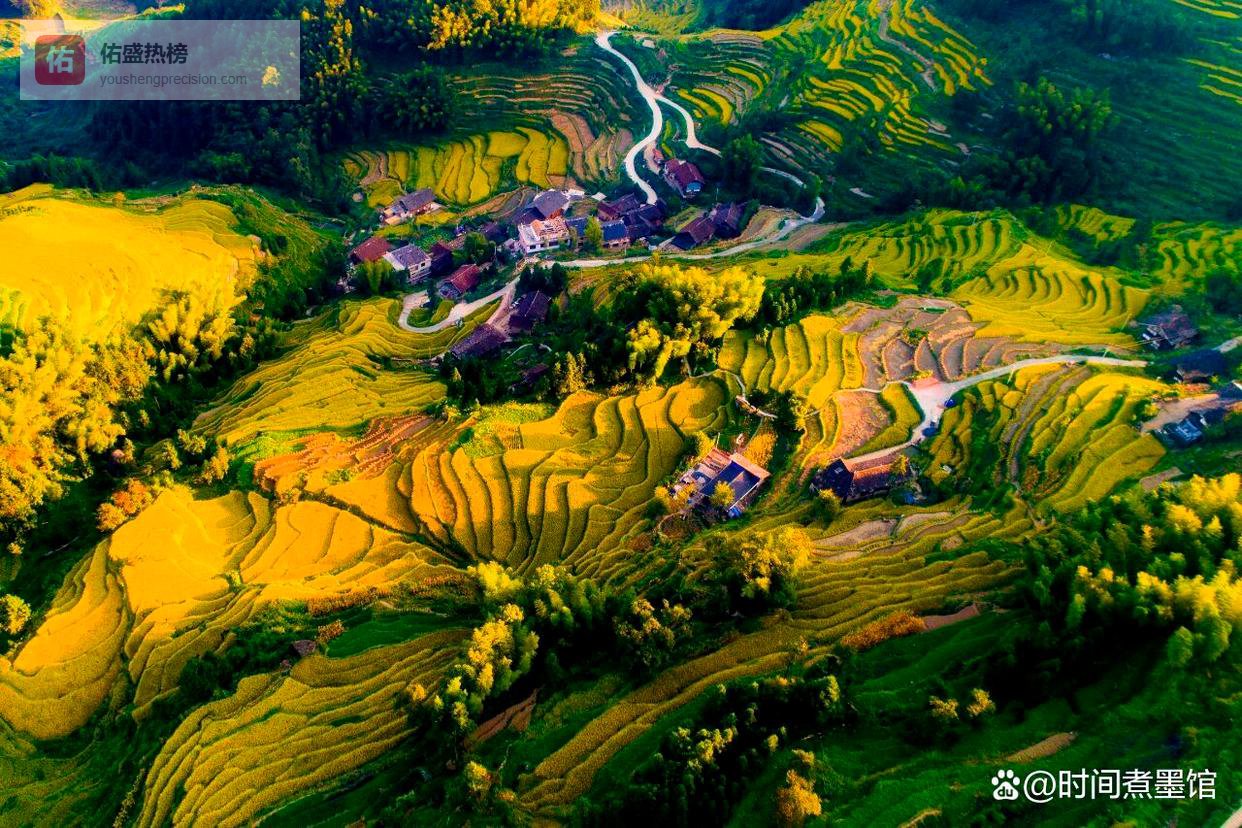 “天下大乱，此地无忧”：紫鹊界凭什么？