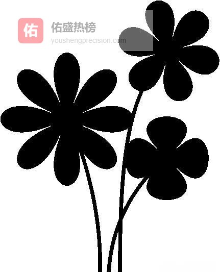 从交学费到爆盆：一份写给多肉新手的“避坑+上色”全案