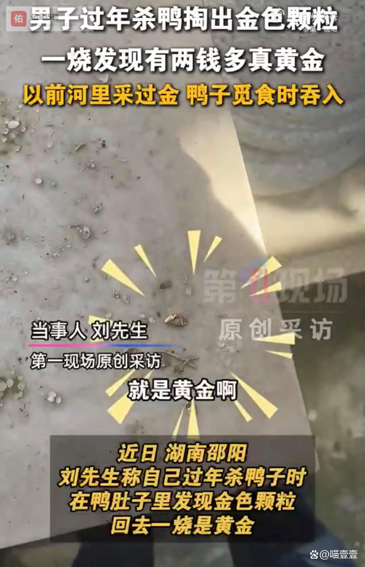 男子杀鸭杀出“金”喜，鸭肚子里真能淘出黄金？