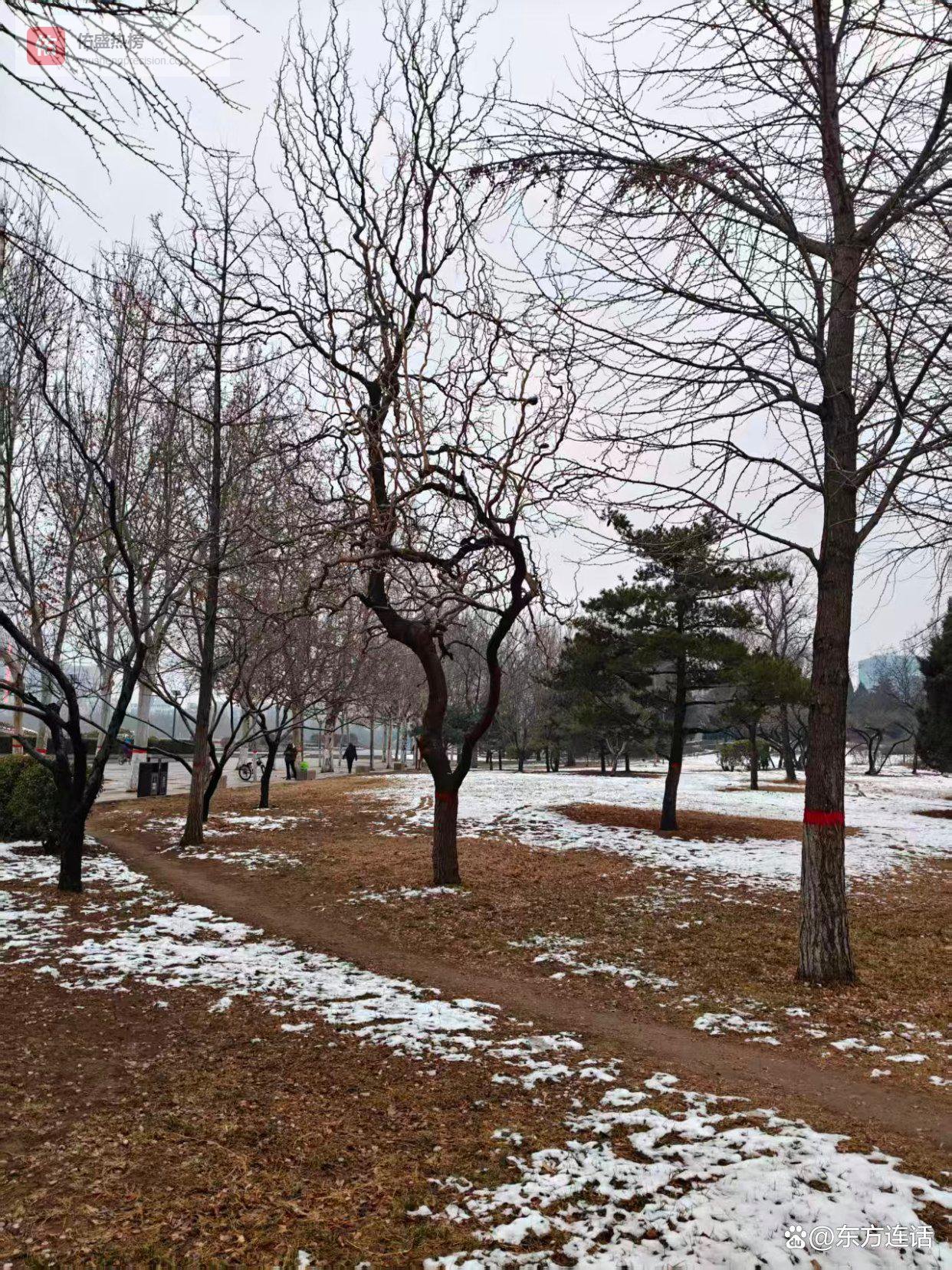 保定笔记：广场残雪里的春寒日暮