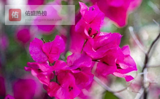 把日子过成“名片”：气质修炼全攻略