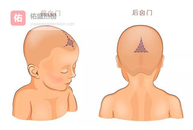 新生儿囟门全解析：前囟门与后囟门的秘密