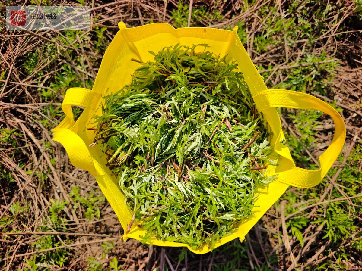 野菜尝鲜指南：这几类人请放慢手中的筷子