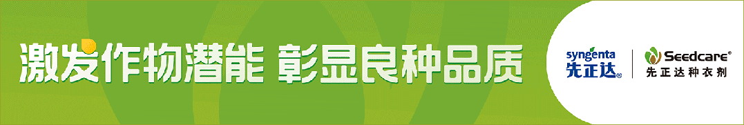 1000万元！玉米耐密自交系M7393F为何被五家种企“抢下”？