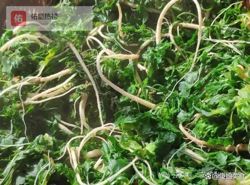 春天，别总吃韭菜菠菜了！这菜不花一分钱，焯水冻起来，从春天吃到冬天随吃，随取特省事