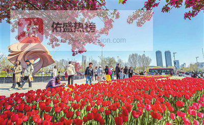 花季津旅 燃动春日
