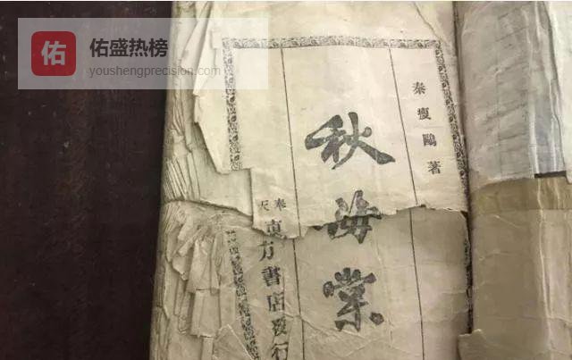 绿林出身的“狗肉将军”：褚玉璞的速起速落