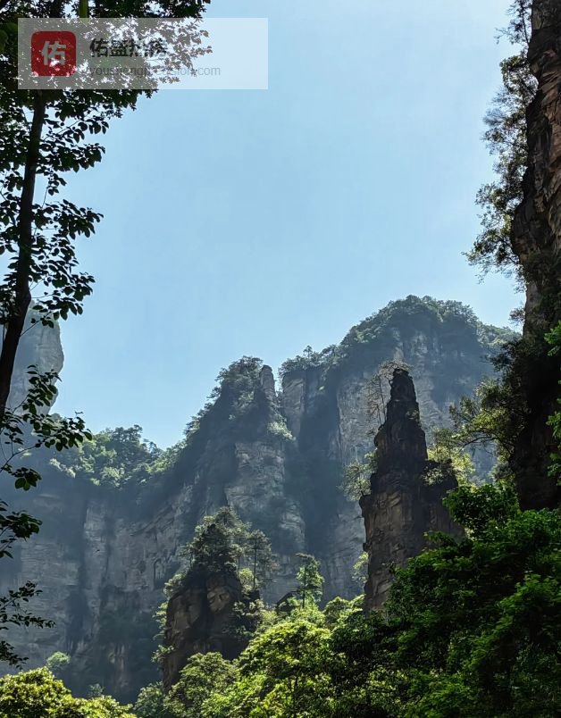 懒人必看张家界旅游！张家界五天四晚旅游攻略，跟团选对不踩坑