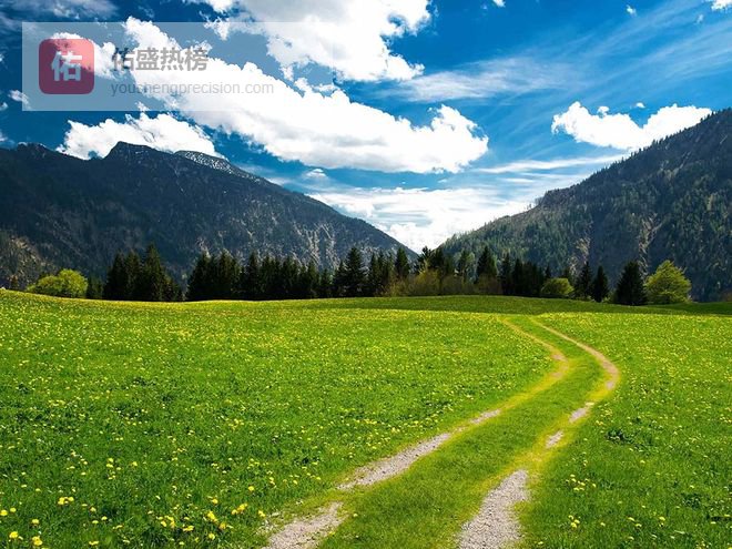 根本卷不过！这3个生肖越忙越兴奋，事业飙升，钱财哗哗来！