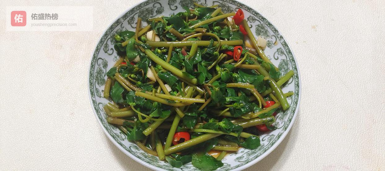 剩菜剩饭会致癌？一次说清真相