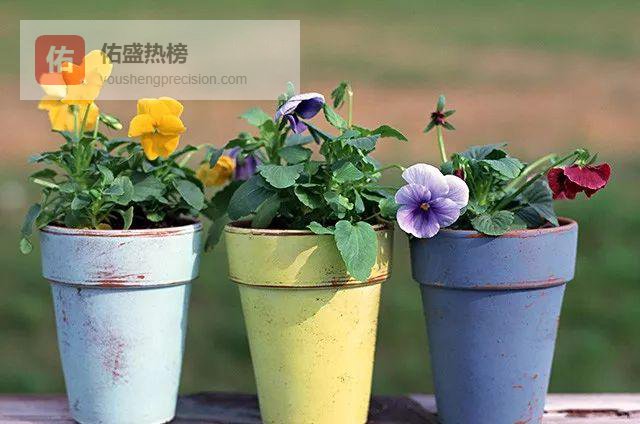 垃圾垫盆底，花土秒变“松软土豪”