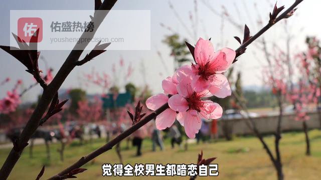 女子情不自禁到处表白确诊桃花癫：别把“桃花运”当成病！