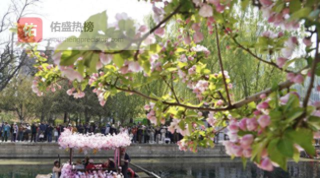 26届海棠花溪节：在千年城垣里与春天撞个满怀