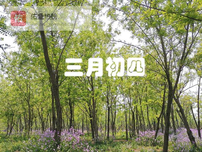 今日三月初四，记得“吃3样，做1事”身体安康家宅安，老传统别丢