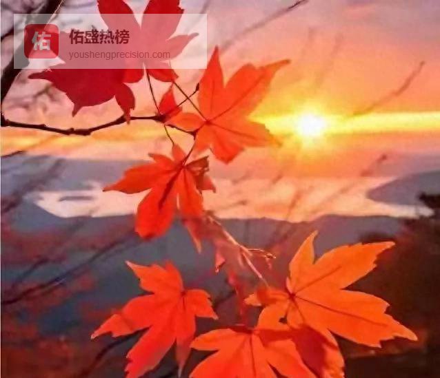 人到晚年最大的底气，从来不是钱和子女，而是这4样东西